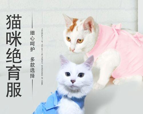 母猫为什么要舔小猫（揭秘母猫舔小猫的神秘行为）