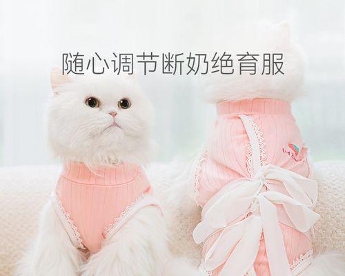 母猫为什么总舔小猫（探究母猫舔小猫的原因及其作用）