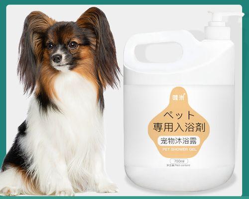 男子发现爱犬异常，暴露宠物健康管理的重要性（如何保障宠物健康）