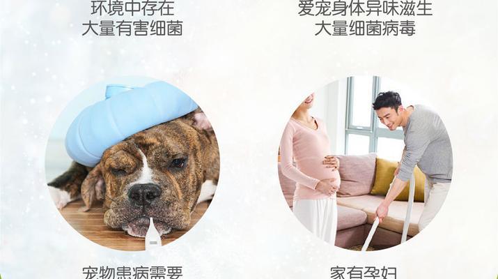 犬瘟热消毒必知，保障宠物健康（了解犬瘟热的危害和传播途径）