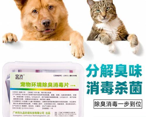 犬瘟热消毒必知，保障宠物健康（了解犬瘟热的危害和传播途径）