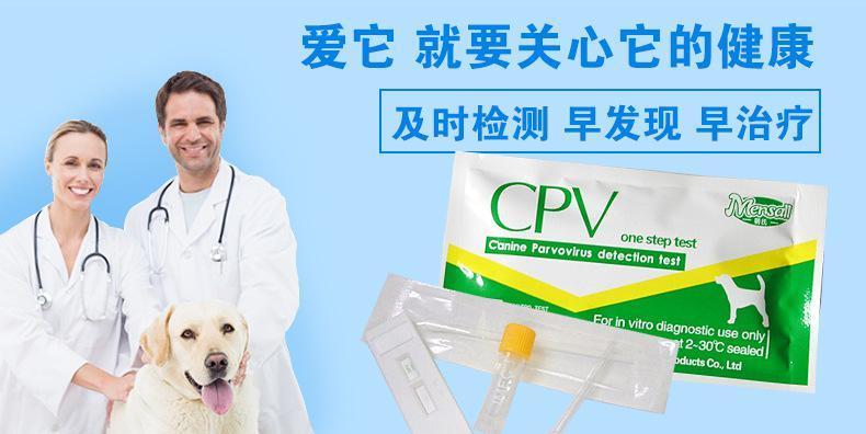 如何正确使用犬瘟试纸进行宠物健康检测（以图片为主）