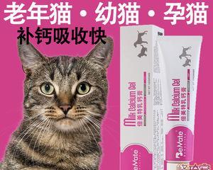 能否给宠物小猫吃人用钙片（小猫的钙质需求和食用禁忌）