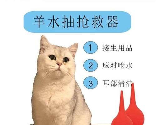 日本猫咪宠物必备用品大揭秘（探寻日本猫咪生活中的必需品）