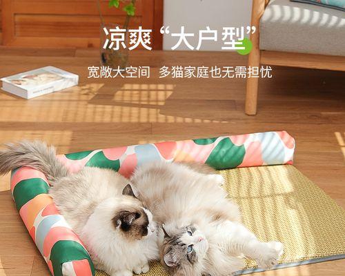 日本猫咪宠物必备用品大揭秘（探寻日本猫咪生活中的必需品）