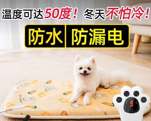 如何控制宠物猫咪的饮食（健康的猫咪需要正确的饮食管理）