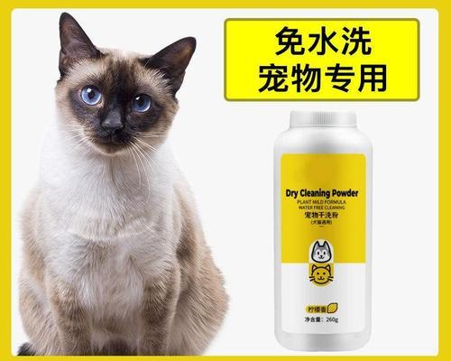 三岁的猫还能生小猫吗（探究猫咪的生育年龄及相关问题）