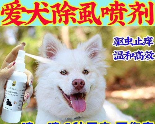 如何地以杀猫蚤（保护宠物免受猫蚤侵扰的完整指南）
