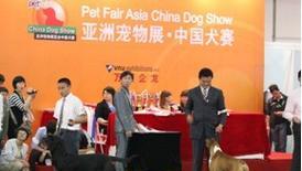 《上海梦幻犬舍——宠物爱好者的天堂》（以优质服务和高品质的宠物为中心）