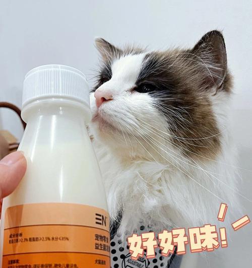 舒化奶猫咪可以喝吗（了解舒化奶的作用和影响）