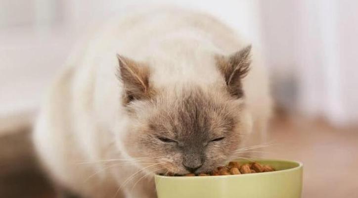 如何正确给猫喂微量元素粉（宠物猫的营养需求和微量元素粉的作用）