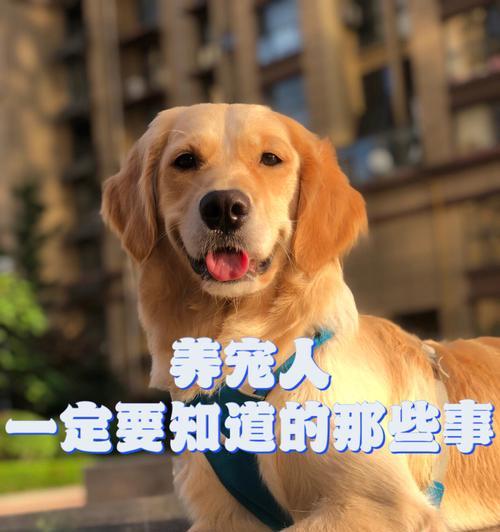 为什么会有狗吃自己的小狗（探讨狗狗吃小狗的行为原因及其解决方法）