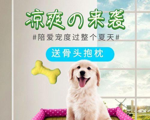 狗狗上眼皮肿起来，应该怎么办（从症状到原因）