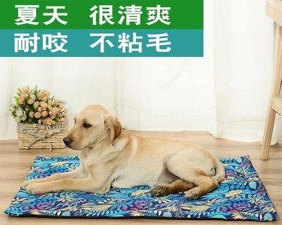 为什么猫咪不让摸肚子（探秘猫咪神秘的腹部领地）