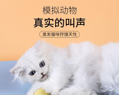 为什么猫咪喜欢互相咬（探究猫咪咬爱好的原因与意义）