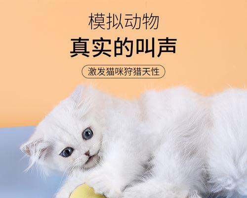 为什么猫咪喜欢互相咬（探究猫咪咬爱好的原因与意义）