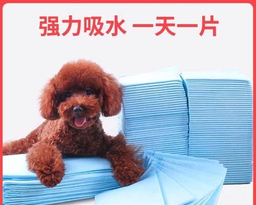 小狗为什么会突然乱拉尿（探究小狗乱拉尿的原因及解决方法）