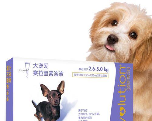 小狗体外驱虫时间表及注意事项（宠物健康必备）