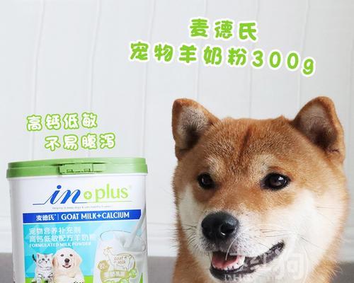 如何为宠物小狗提供营养均衡的干奶粉？