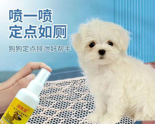 小狗太小无法定点尿，该如何训练（以宠物为主的实用方法和技巧）