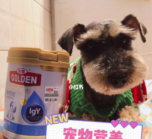 小狗喝羊奶粉好吗（以宠物为主）