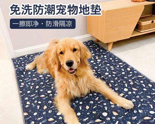 小狗的睡眠时间究竟有多长（揭秘小狗一天的睡眠规律）