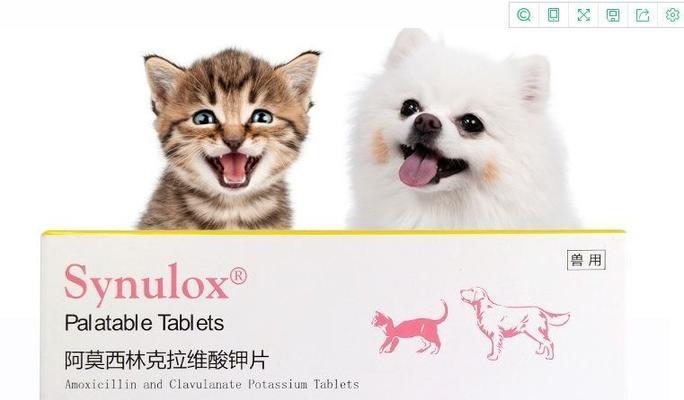小狗胰腺炎用药指南（宠物健康必备）