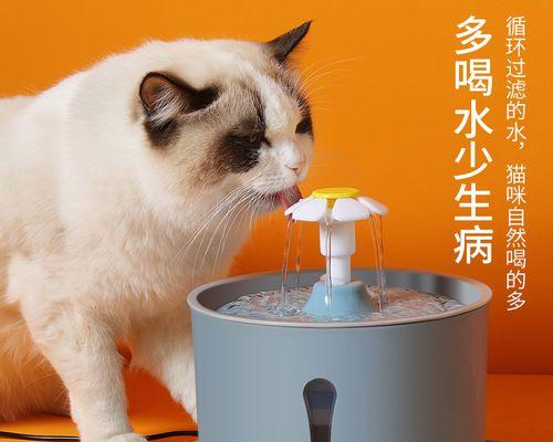 小猫不喝水怎么办（宠物护理小技巧）