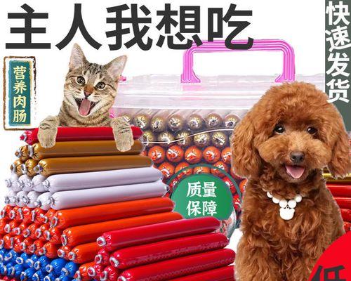 小猫误食火腿肠，怎么办（以宠物为主）