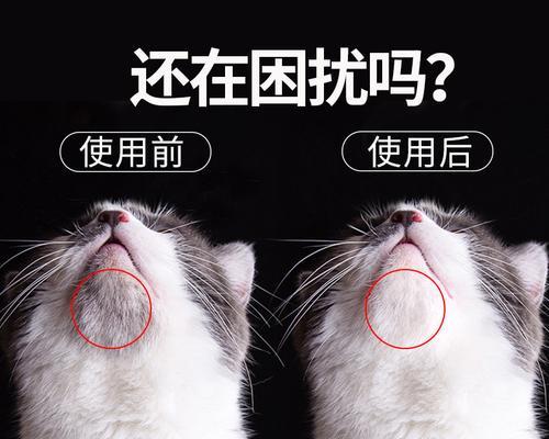 如何用盐水给猫咪洗澡（让宠物清洁无忧的关键方法）