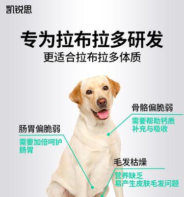 拉布拉多幼大吃什么狗粮好（为你的宠物选择营养）