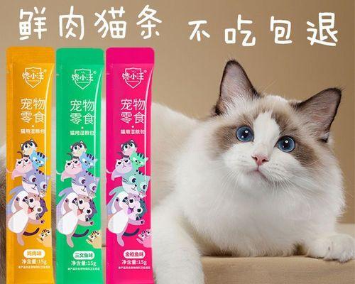 老年猫咪如何补钙（宠爱老年猫）