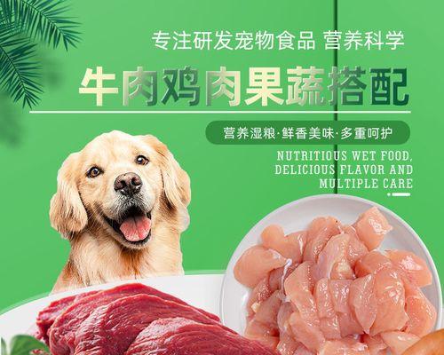 如何科学喂养俩月大的泰迪犬（宠物养护从喂养开始）