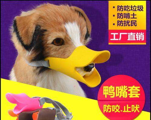 狗狗互相咬嘴的秘密剖析（揭开狗狗口交的神秘面纱）