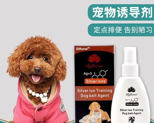 如何一起训练两只狗狗（宠物训练的技巧和窍门）