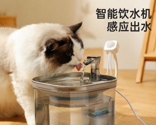 猫咪喝水拉稀，小心宠物健康（如何处理猫咪喝水拉稀）