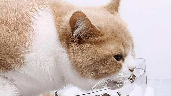 猫咪喝羊奶是否会引起拉稀（探究猫咪喝羊奶引发拉稀的原因和解决办法）