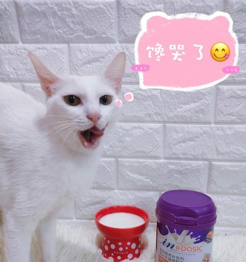 宠物喝鲫鱼汤还是羊奶粉（探究不同宠物营养需求差异）