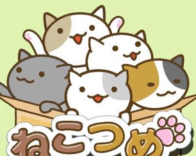 武士猫（一只猫咪的奋斗史）