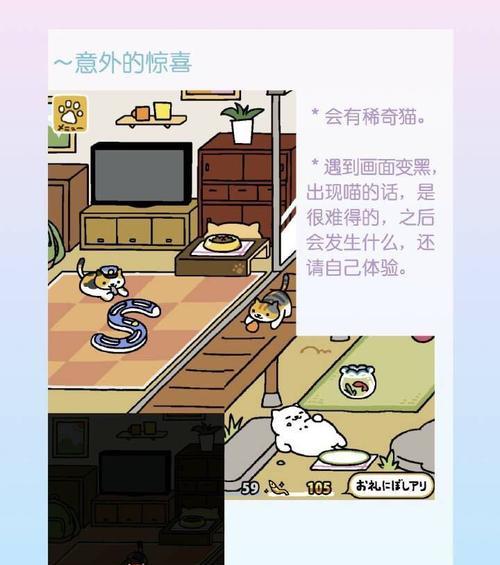 猫咪离奇失踪-探究后院猫的安全问题（宠物猫的生活与安全）