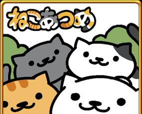 《猫咪后院》（探索萌宠世界）