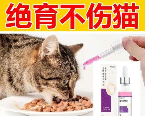 猫咪呼吸异常，如何帮助它（护理你的宠物）