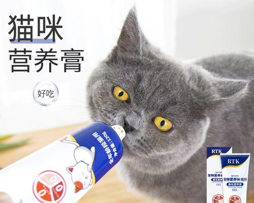 猫咪的健康之道——以猫咪化猫膏多久吃一次（如何科学合理地为宠物喂养猫膏）