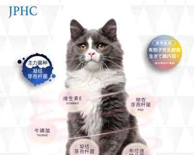 猫咪怀孕期间益生菌的作用（让宠物健康生产的小秘诀）