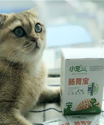 猫咪怀孕期间益生菌的作用（让宠物健康生产的小秘诀）