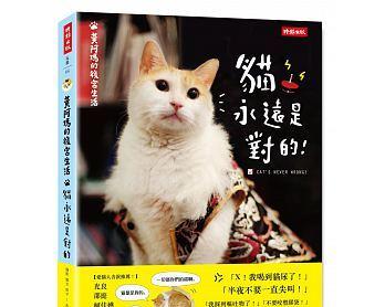 猫咪怀孕了，如何饲养（细节决定猫咪怀孕后的幸福生活）