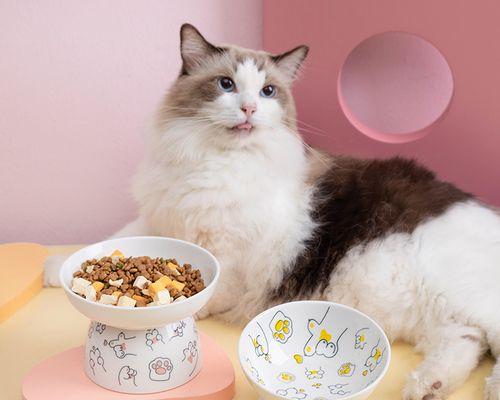 猫咪传染人类吗（了解猫咪传染性及预防措施）