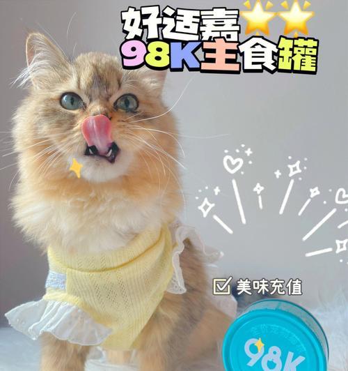 散装英语轻松学，猫咪带你飞（可爱宠物和你一起进阶英语）