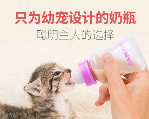 猫咪和兔子相处可行吗（探究猫咪为何会咬兔子的原因）