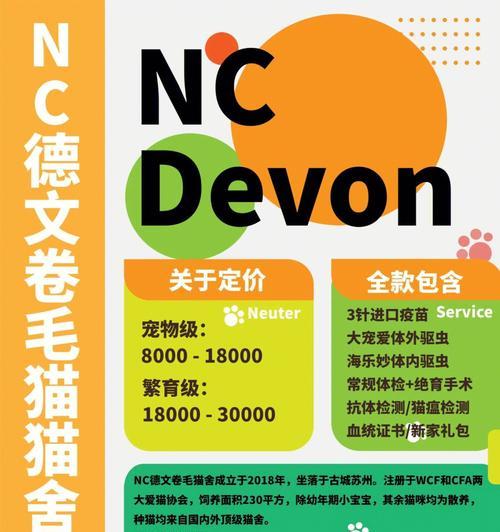 探索宠物健康新领域——猫咪基因检测治疗（以猫咪基因为指南）